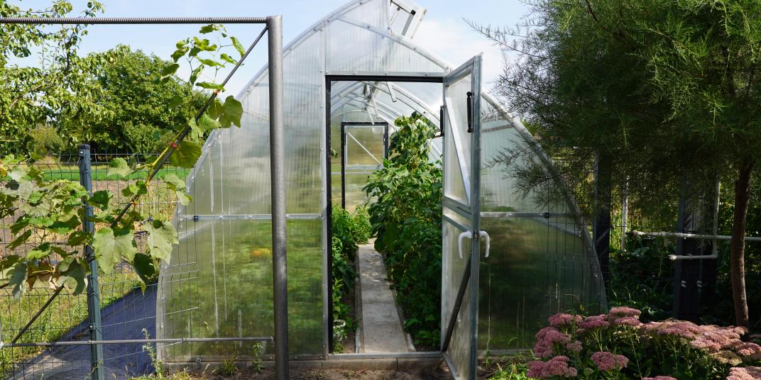 a greenhouse