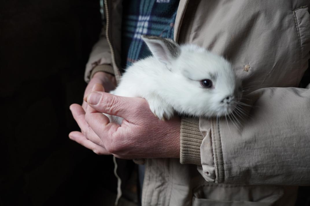 Ivan showing a small rabbit