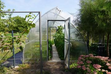 a greenhouse